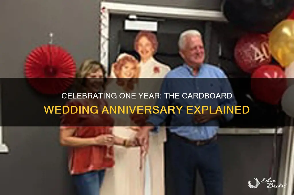 what is the cardboard wedding anniversary