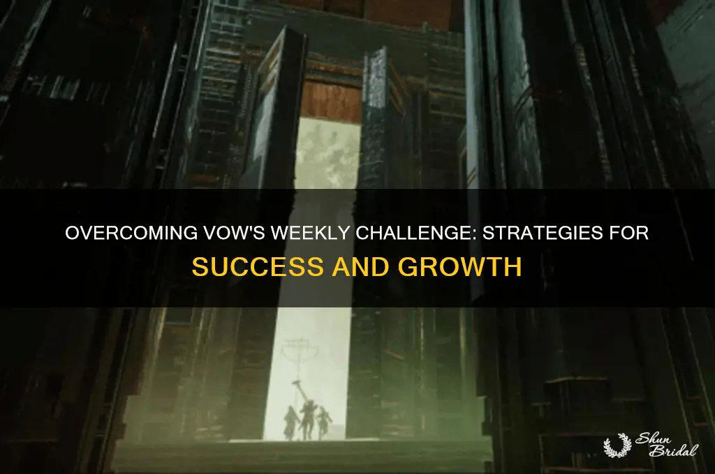 what is the challenge for vow this week