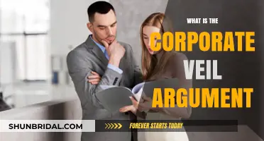 Understanding the Corporate Veil: Legal Protections and Limitations Explained