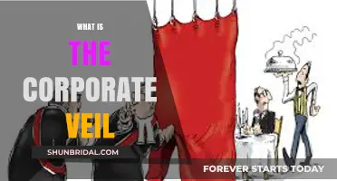 Understanding the Corporate Veil: Protection, Limits, and Legal Implications