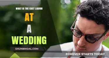 Wedding Liquor Costs: Budgeting for Drinks on Your Big Day