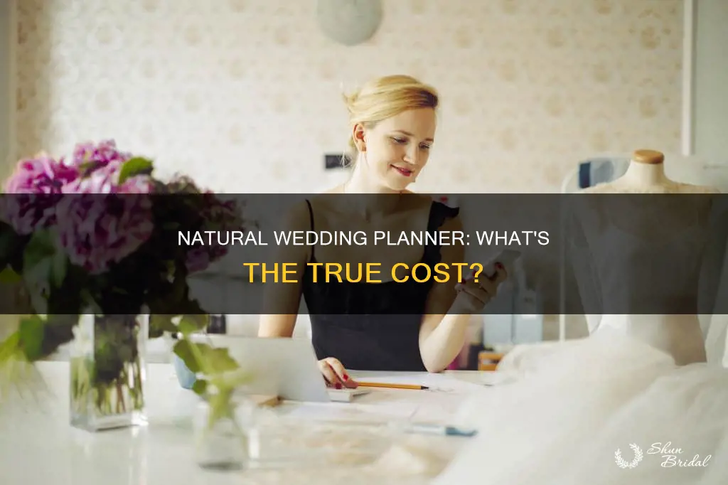 what is the cost of a natural wedding planner