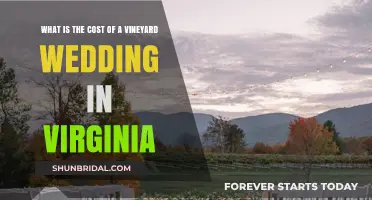 Virginia Vineyard Wedding Costs: A Guide to Planning Your Dream Day