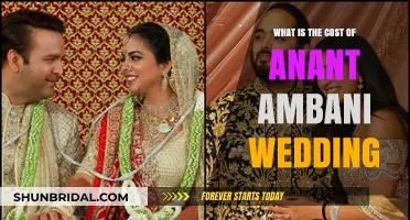 Anant Ambani Wedding Extravaganza: Unveiling the Staggering Cost Breakdown