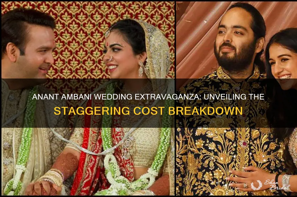 what is the cost of anant ambani wedding