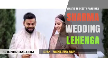 Anushka Sharma's Wedding Lehenga: Unveiling the Price Tag and Details