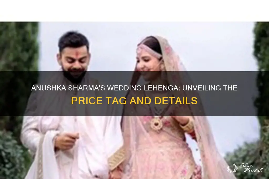 what is the cost of anushka sharma wedding lehenga