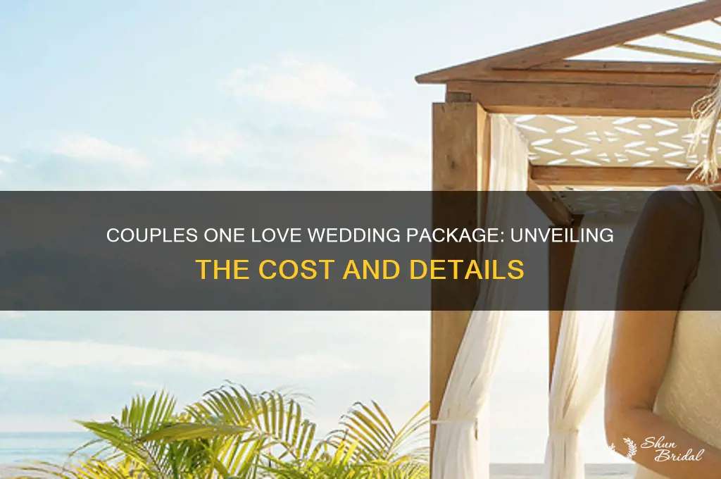 what is the cost of couples one love wedding package