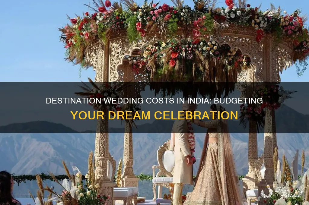 what is the cost of destination wedding in india
