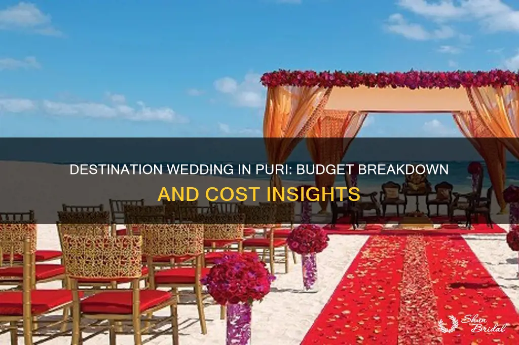 what is the cost of destination wedding in puri