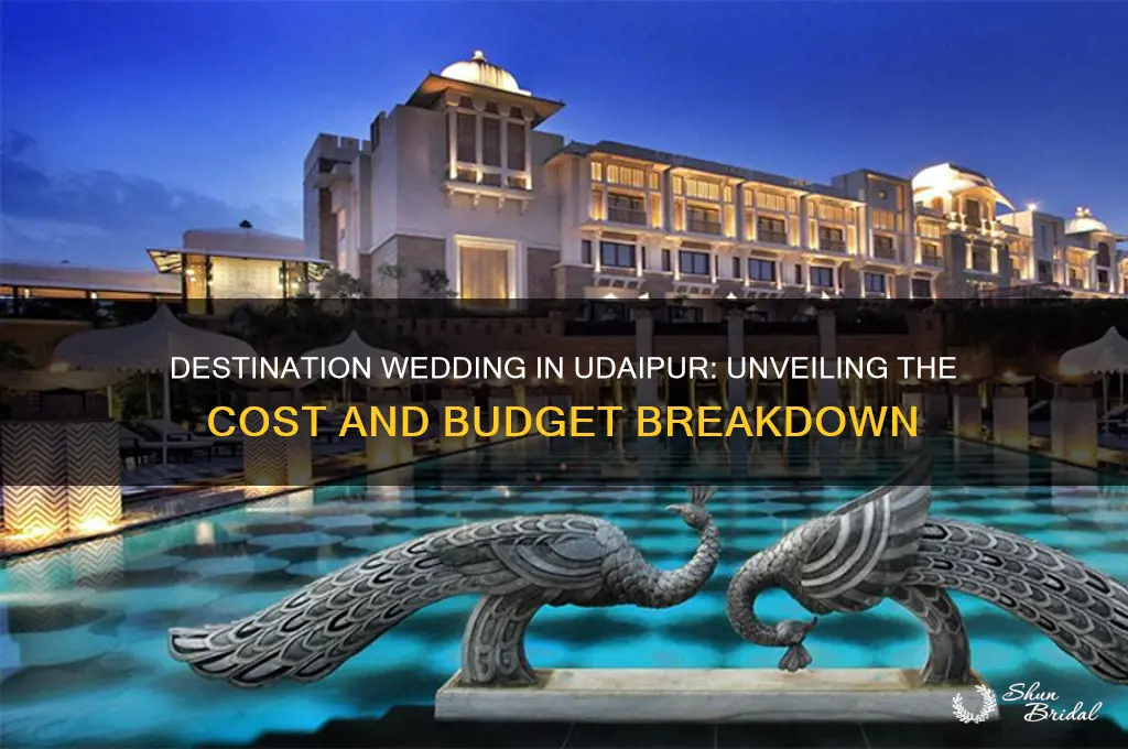what is the cost of destination wedding in udaipur
