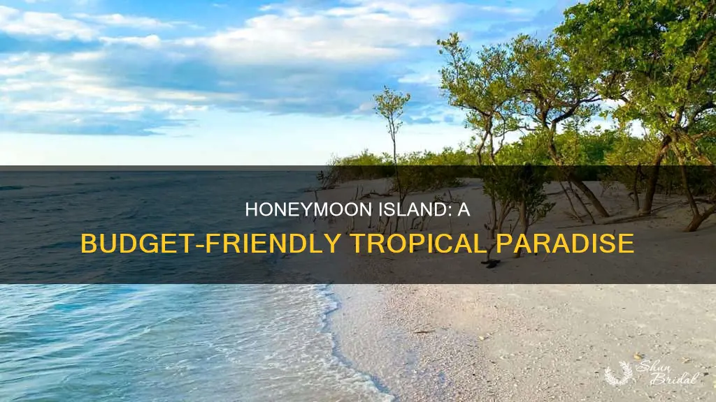 what is the cost of honeymoon island