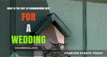 Hummingbird Nest Wedding Decor: Exploring Costs and Creative Ideas