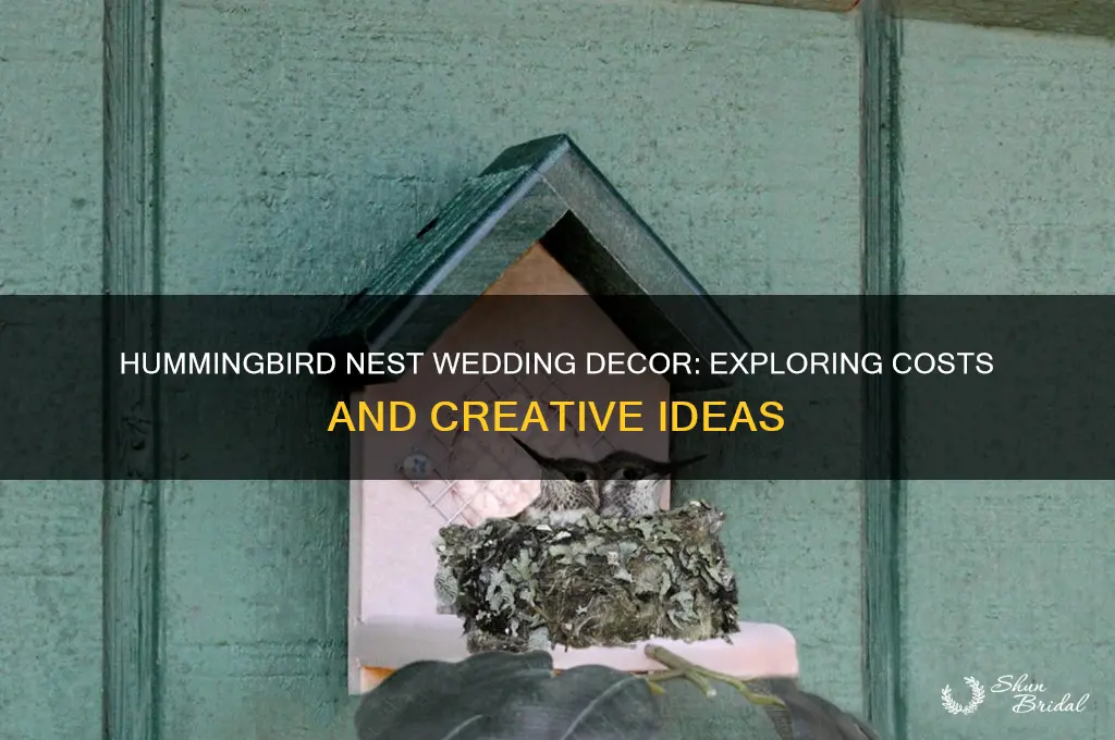what is the cost of hummingbird nest for a wedding