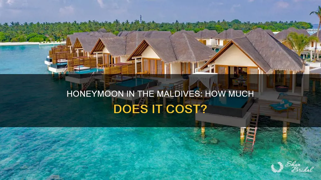 what is the cost of maldives honeymoon package