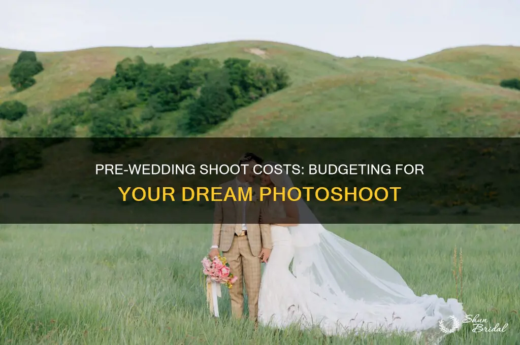 what is the cost of pre wedding shoot