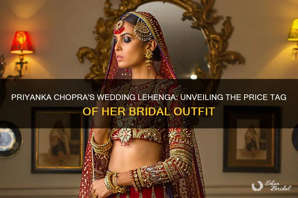 what is the cost of priyanka chopra wedding lehenga