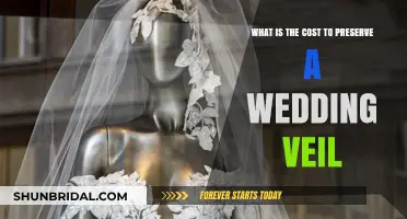 Preserving Your Wedding Veil: Understanding the Cost and Process