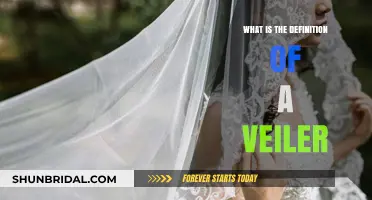 Understanding Veil: Definition, Purpose, and Cultural Significance Explained