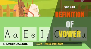 Understanding Vowels: The Definition and Role of Vowers in Language