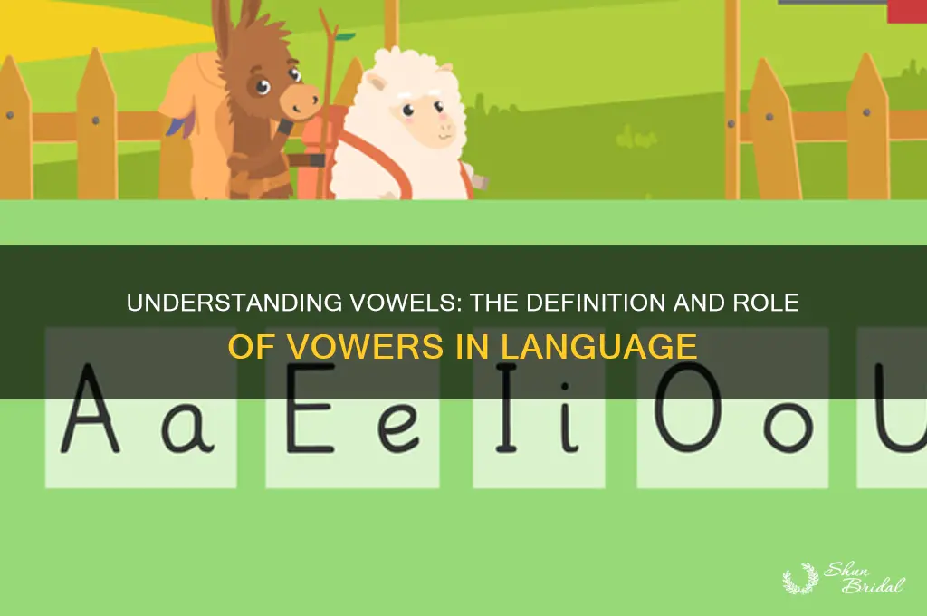 what is the definition of vower