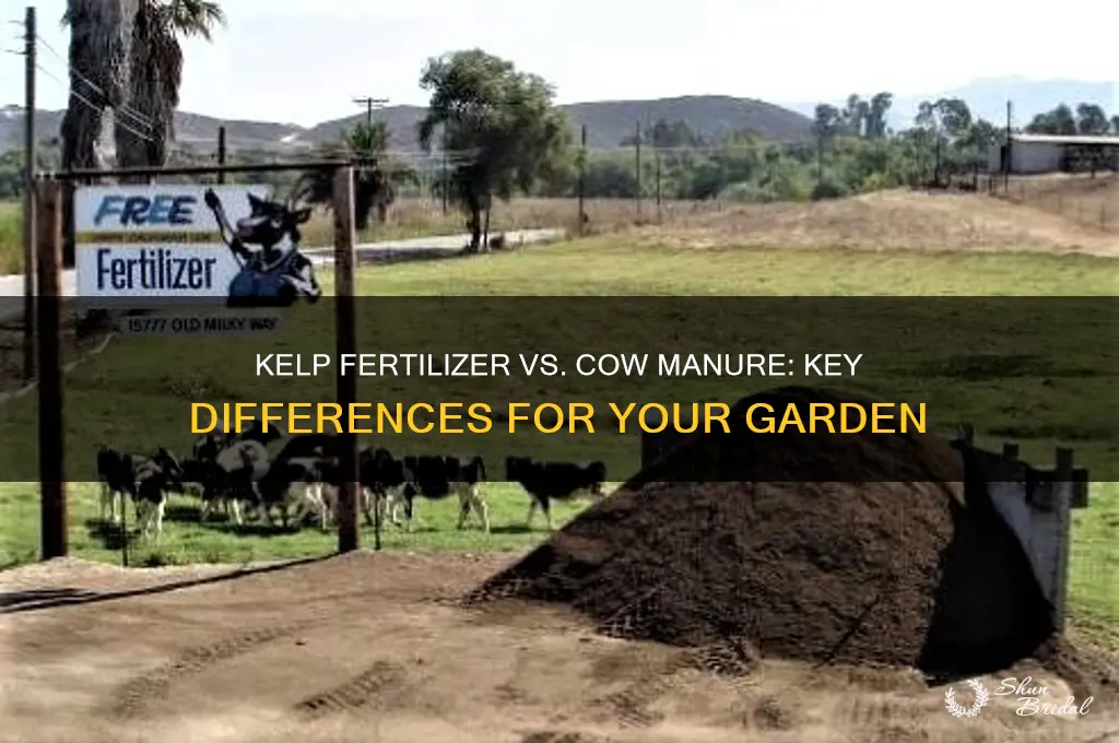what is the diferece betwwen kelp fertizer and vow manure