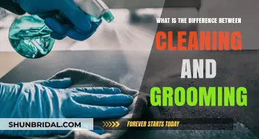 Understanding the Distinct Roles of Cleaning and Grooming