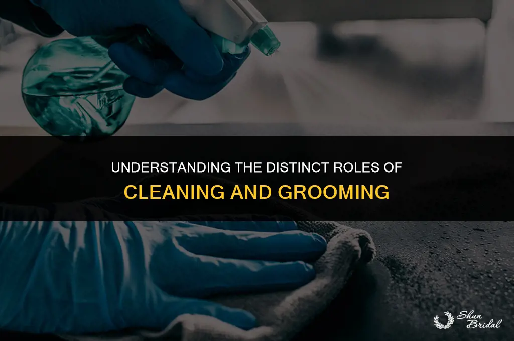 what is the difference between cleaning and grooming