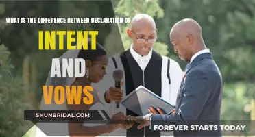 Declaration of Intent vs. Vows: Understanding the Key Differences