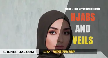 Hijabs vs. Veils: Understanding the Cultural and Religious Differences
