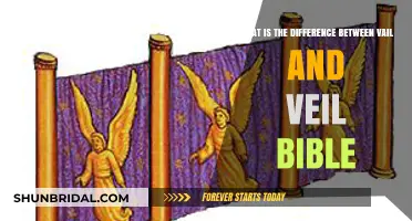 Vail vs. Veil in the Bible: Understanding the Key Differences