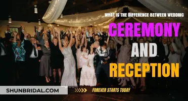Wedding Ceremony vs. Reception: Key Differences Explained for Couples