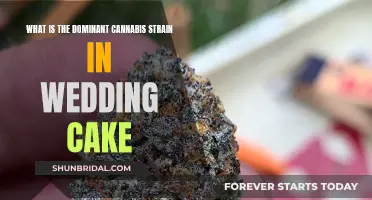 Wedding Cake Cannabis: The Dominant Strain's Secrets