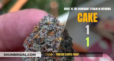 Exploring Wedding Cake's Dominant Strain: A Complex Blend