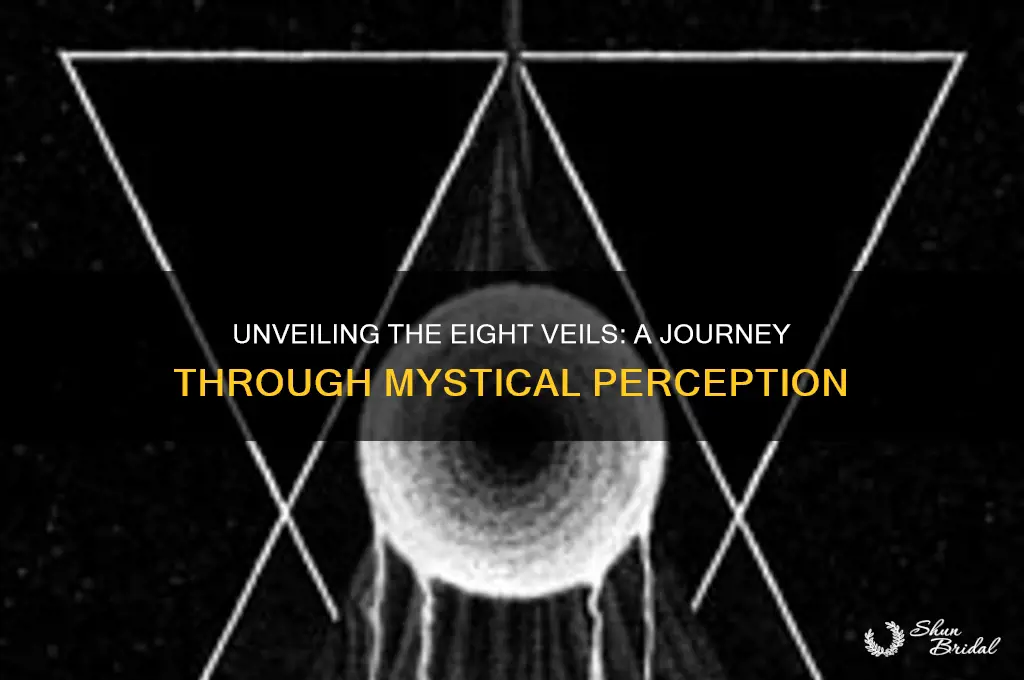 what is the eight veils theory