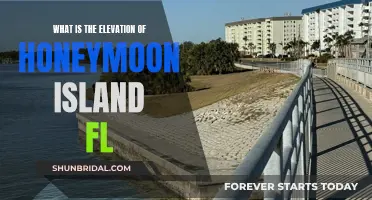 Honeymoon Island's Scenic Height: A Florida Beach Paradise