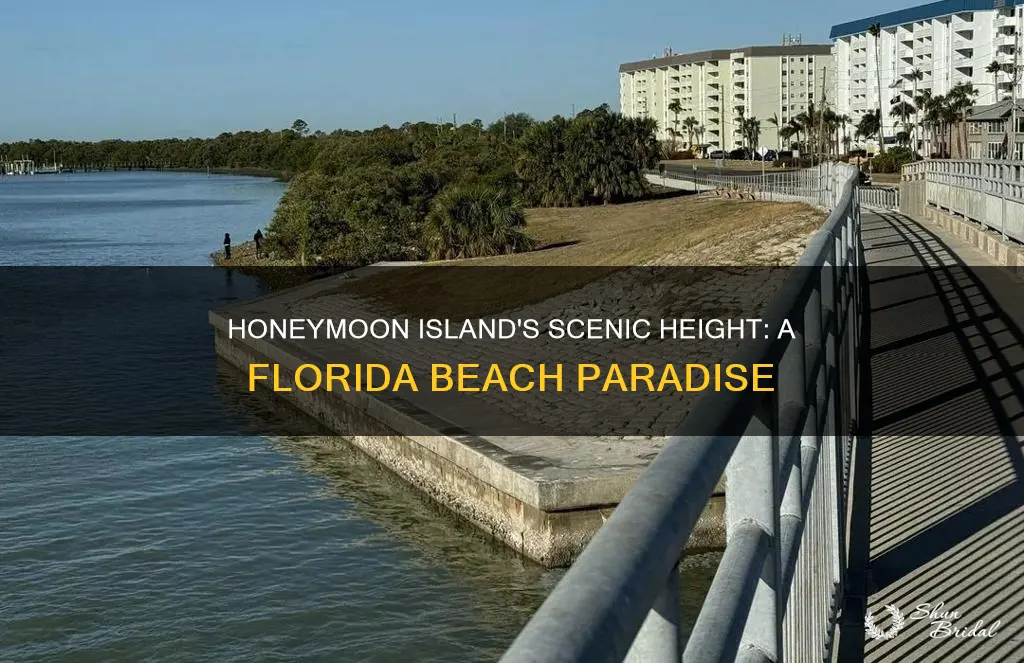 what is the elevation of honeymoon island fl