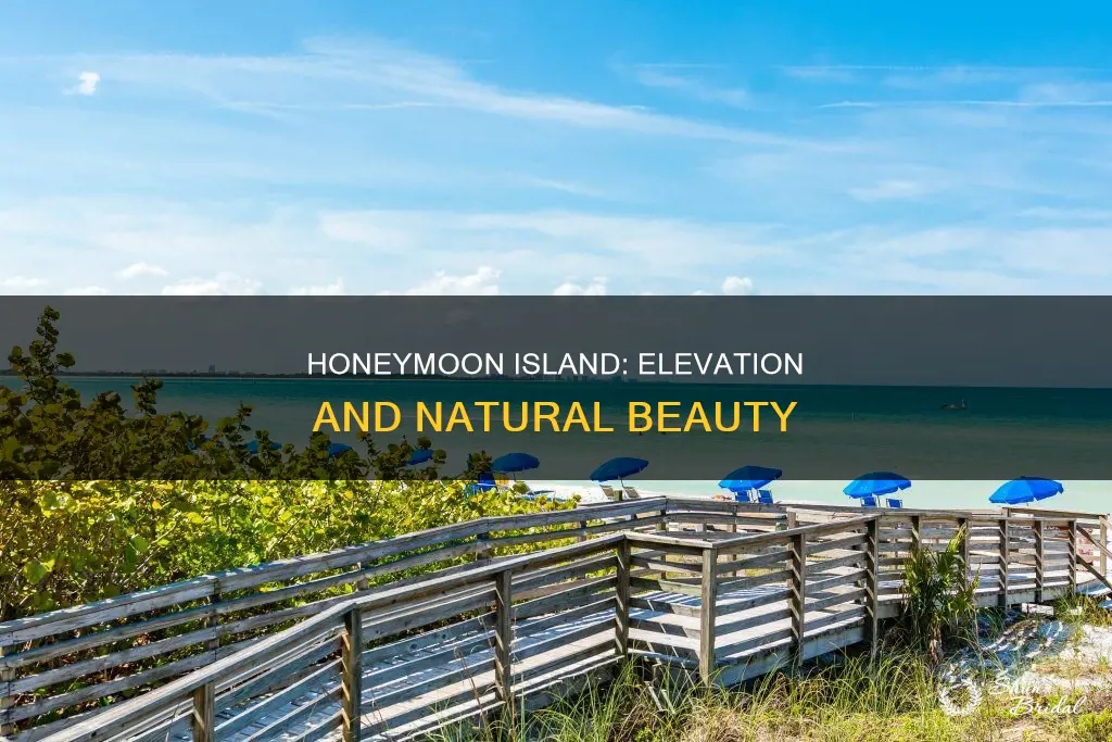 what is the elevation of honeymoon island fl