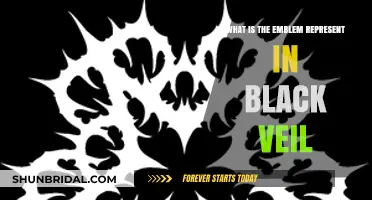 Unveiling the Symbolism: The Black Veil's Emblem Explained