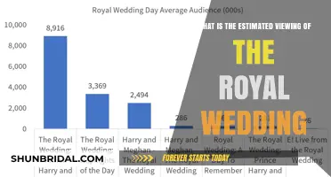 Royal Wedding Spectacle: Global Viewing Estimates and Anticipation