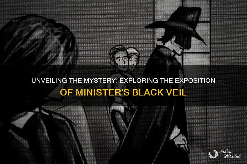 what is the exposition of the minister black veil