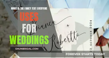 The Art of Wedding Fonts: Decoding the Fancy Text Trend