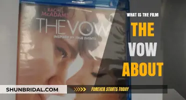 The Vow Explained: A Heartfelt Story of Love and Memory Loss
