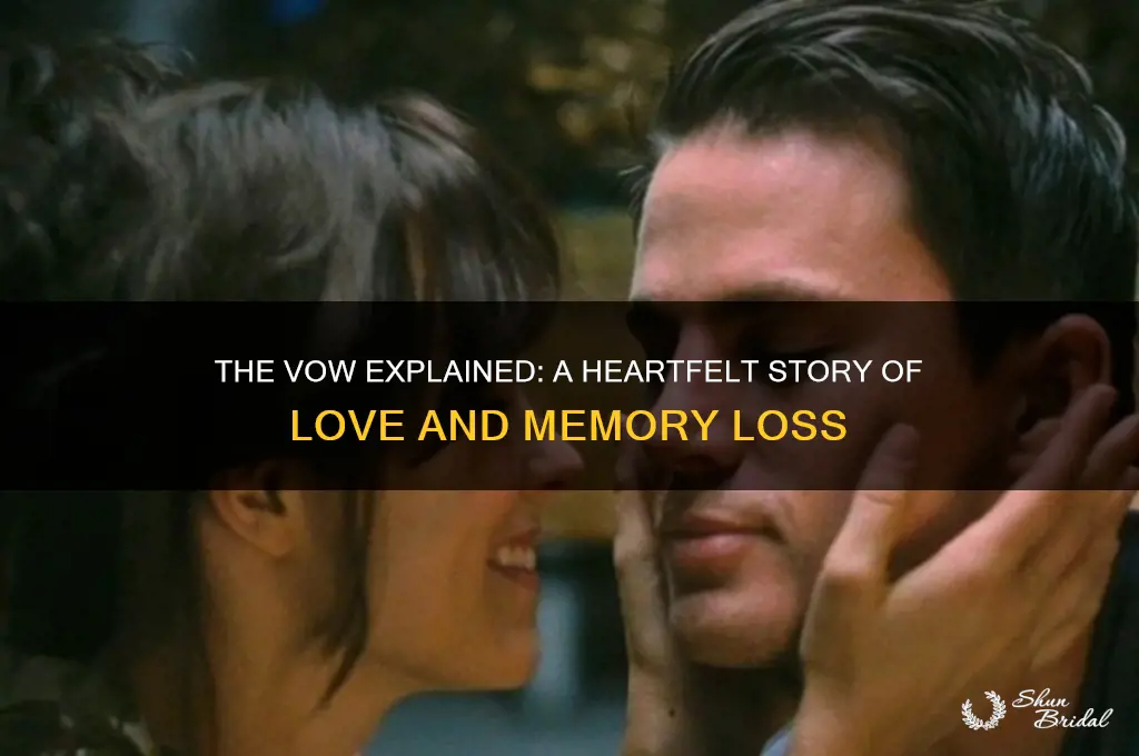 what is the film the vow about