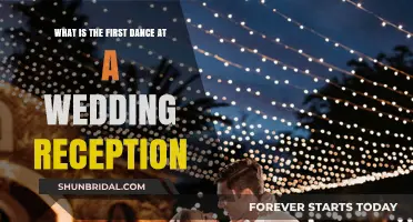 The First Dance: A Wedding Reception's Opening Act