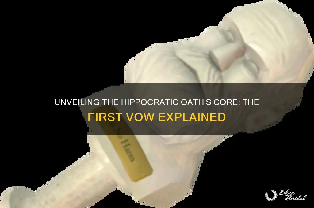 what is the first vow if the hippocratic oath