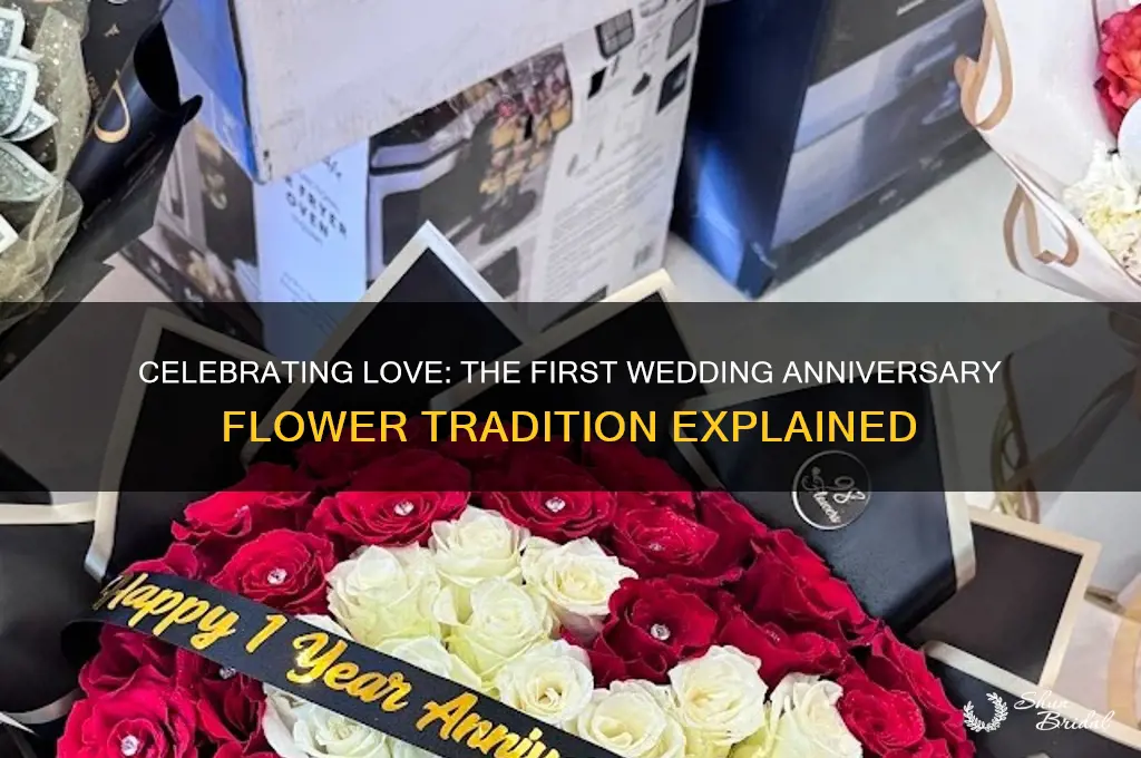 what is the first wedding anniversary flower