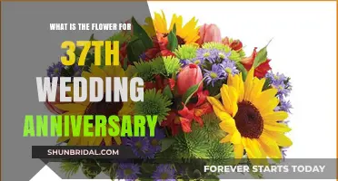37th Anniversary Flower: Celebrate Love with the Perfect Bloom