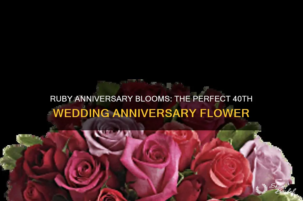 what is the flower for 40th wedding anniversary