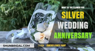 Celebrating 25 Years: The Perfect Silver Anniversary Flower Choice